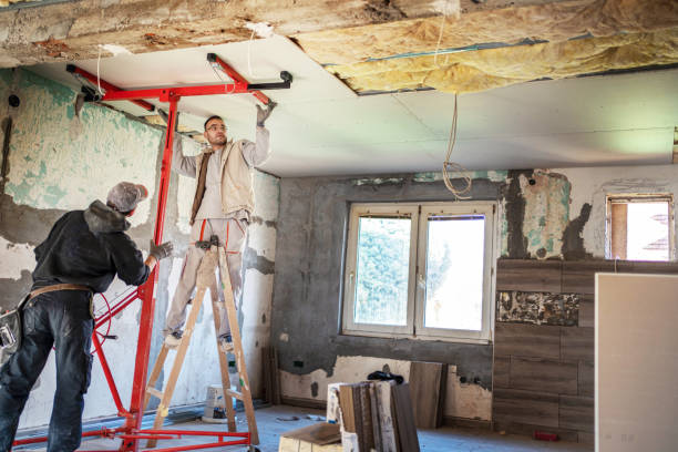 Insulation Repair Services in Pine Castle, FL